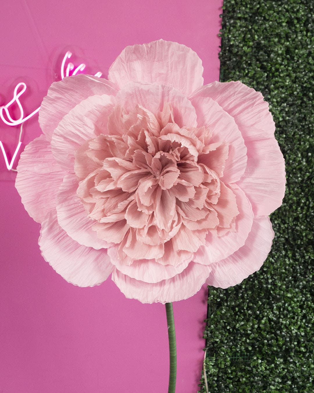flores de papel _3